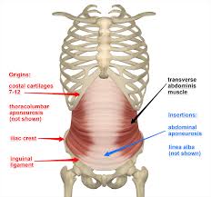 Herniation Gymnactics