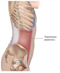 Herniation Gymnactics